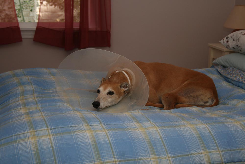 It’s All Fun and Games Until. .&nbsp;.