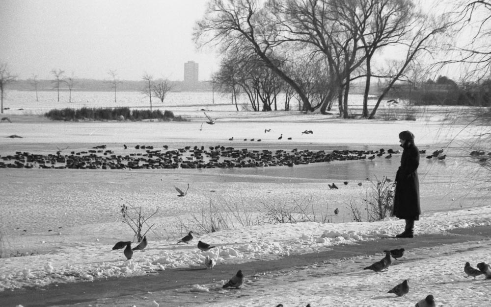 My Favorite Homework&nbsp;Assignment